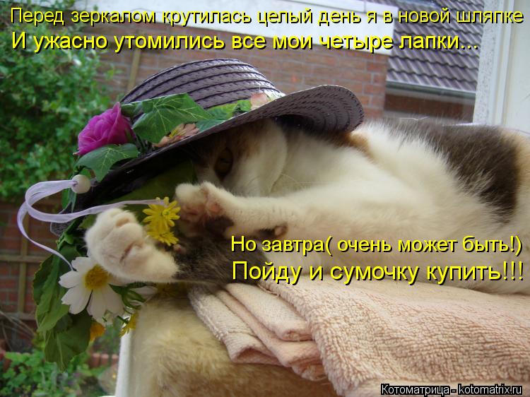 Перед зеркалом крутилась целый день я в новой шляпке И ужасно утомились все мои четыре лапки... Но за... Котоматрица: Перед зеркалом крутилась целый день я в новой шляпке И ужасно утомились все мои четыре лапки... Но завтра( очень может быть!) Пойду и сумочку