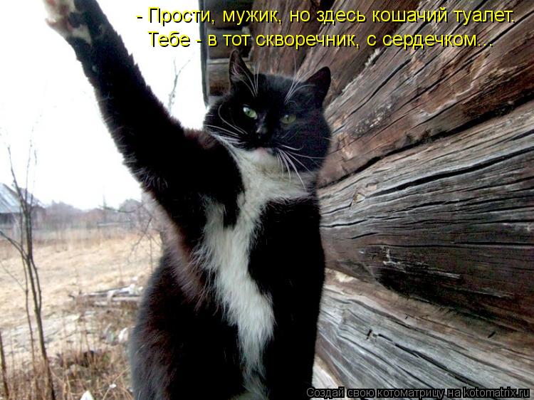 Котоматрица: - Прости, мужик, но здесь кошачий туалет. Тебе - в тот скворечник, с сердечком...