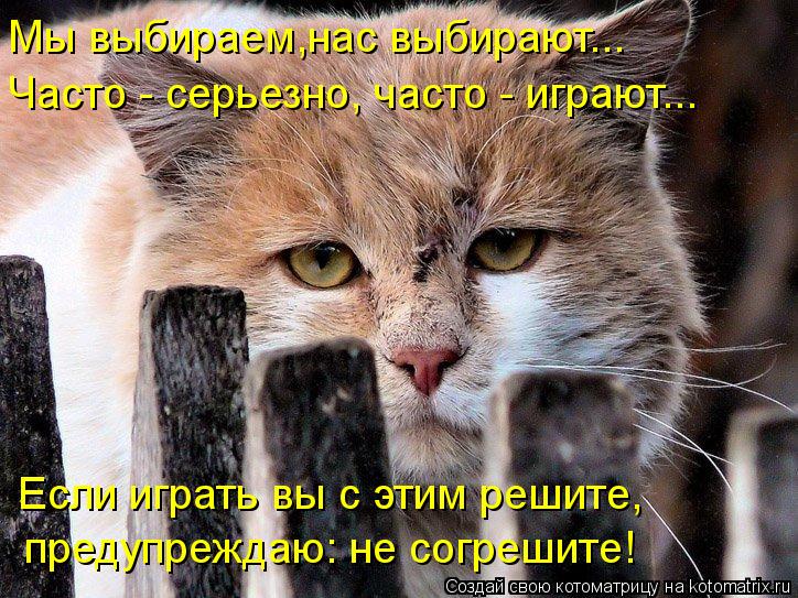 Мы выбираем,нас выбирают... Часто - серьезно, часто - играют... Если играть вы с этим решите, предуп... Котоматрица: Мы выбираем,нас выбирают... Часто - серьезно, часто - играют... Если играть вы с этим решите, предупреждаю: не согрешите!