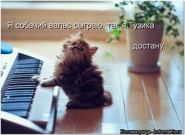 Котоматрица: Я собачий вальс сыграю, так я Тузика достану.