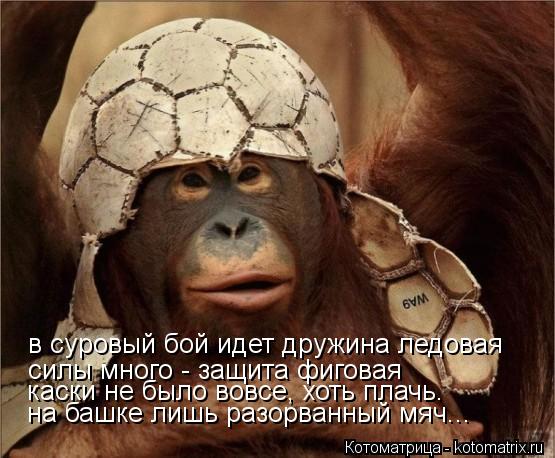 в суровый бой идет дружина ледовая силы много - защита фиговая каски не было вовсе, хоть плачь. на ба... Котоматрица: в суровый бой идет дружина ледовая силы много - защита фиговая каски не было вовсе, хоть плачь. на башке лишь разорванный мяч...