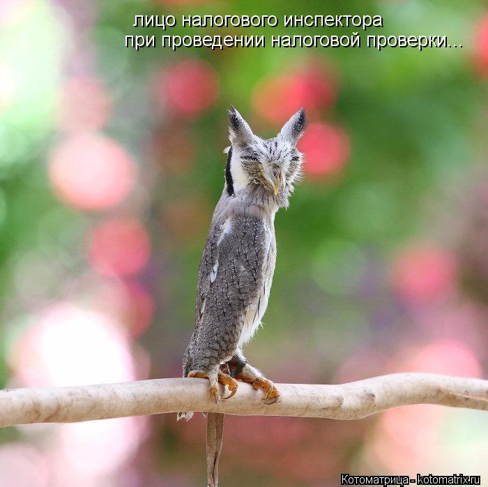 лицо налогового инспектора при проведении налоговой проверки...... Котоматрица: лицо налогового инспектора при проведении налоговой проверки...