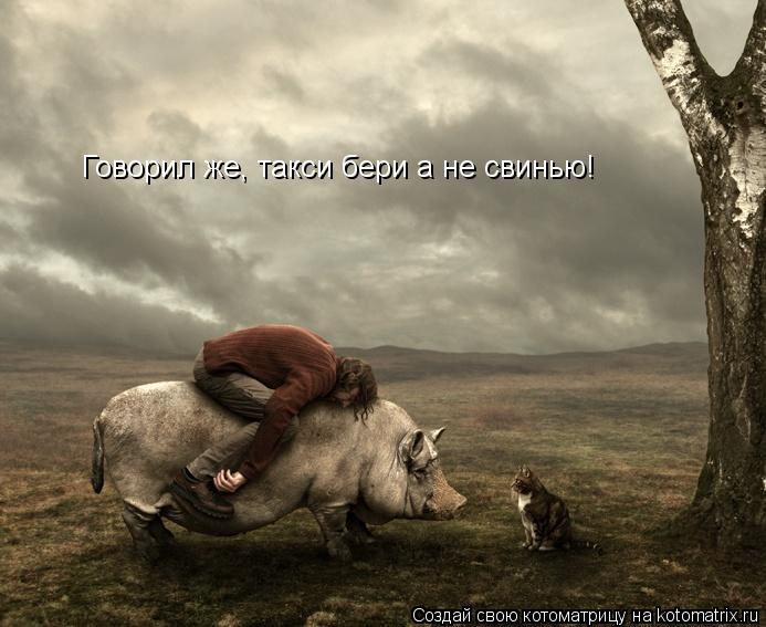 Говорил же, такси бери а не свинью!... Котоматрица: Говорил же, такси бери а не свинью!