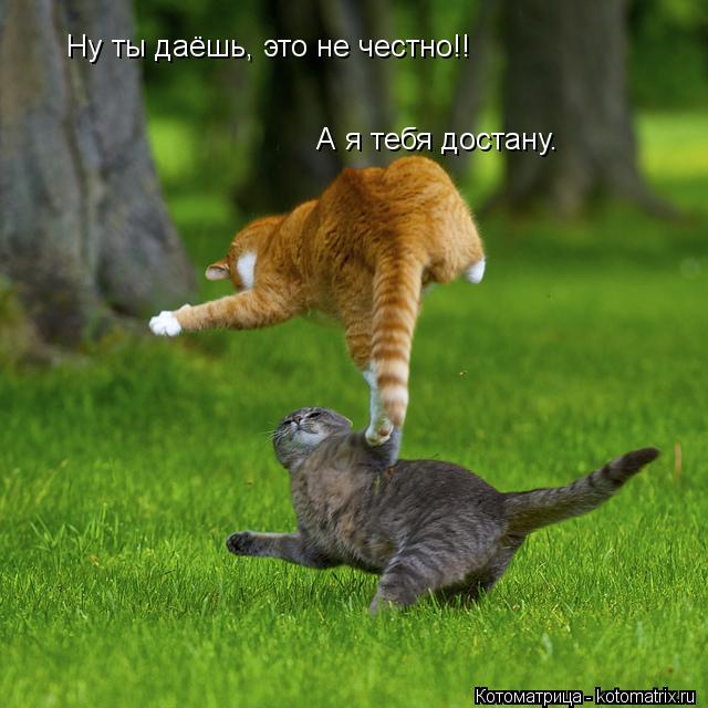 Котоматрица: Ну ты даёшь, это не честно!! А я тебя достану.
