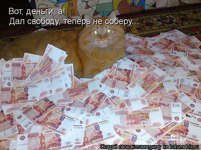 Вот, деньги, а! Дал свободу, теперь не соберу...... Котоматрица: Вот, деньги, а! Дал свободу, теперь не соберу...