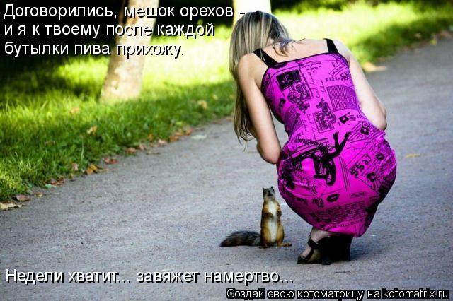 Договорились, мешок орехов - и я к твоему после каждой бутылки пива прихожу. Недели хватит... завя... Котоматрица: Договорились, мешок орехов - и я к твоему после каждой бутылки пива прихожу. Недели хватит... завяжет намертво...