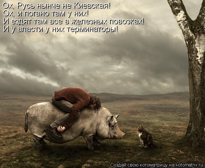 Ох, Русь нынче не Киевская! Ох, и погано там у них! И ездят там все в железных повозках! И у власти у... Котоматрица: Ох, Русь нынче не Киевская! Ох, и погано там у них! И ездят там все в железных повозках! И у власти у них терминаторы!