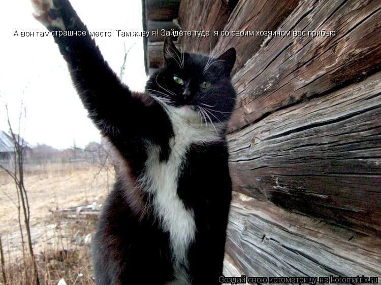 А вон там страшное место! Там живу я! Зайдёте туда, я со своим хозяином вас прибью!... Котоматрица: А вон там страшное место! Там живу я! Зайдёте туда, я со своим хозяином вас прибью!