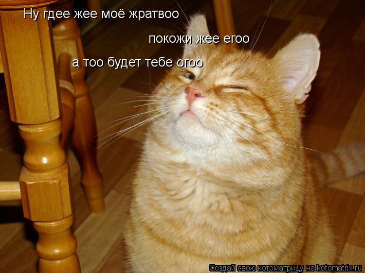 Котоматрица: Ну гдее жее моё жратвоо покожи жее егоо а тоо будет тебе огоо