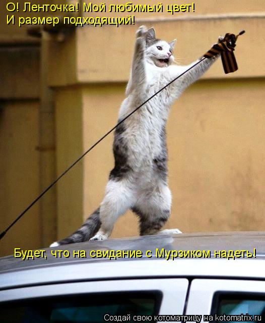 О! Ленточка! Мой любимый цвет! И размер подходящий! Будет, что на свидание с Мурзиком надеть!... Котоматрица: О! Ленточка! Мой любимый цвет! И размер подходящий! Будет, что на свидание с Мурзиком надеть!