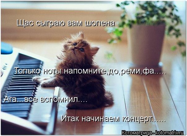 Щас сыграю вам шопена Только ноты напомните,до,реми,фа..... Ага...все вспомнил.... Итак начинаем конц... Котоматрица: Щас сыграю вам шопена Только ноты напомните,до,реми,фа..... Ага...все вспомнил.... Итак начинаем концерт......
