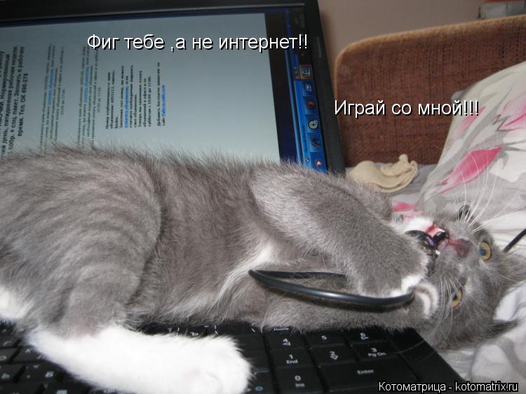 Котоматрица: Фиг тебе ,а не интернет!! Играй со мной!!!