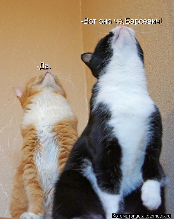 -Вот оно чё,Барсевич! -Да..... Котоматрица: -Вот оно чё,Барсевич! -Да..