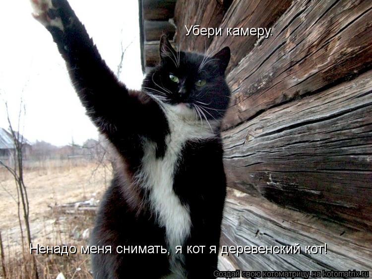 Котоматрица: Убери камеру.  Ненадо меня снимать, я кот я деревенский кот!