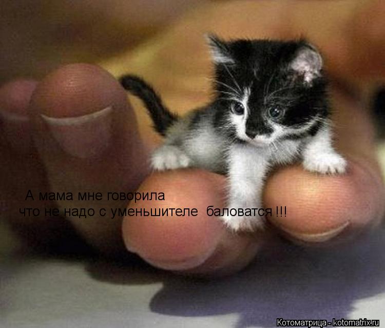 А мама мне говорила что не надо с уменьшителе баловатся !!!... Котоматрица: А мама мне говорила что не надо с уменьшителе баловатся !!!