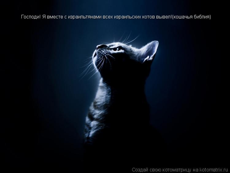 Господи! Я вместе с израильтянами всех израильских котов вывел!(кошачья библия)... Котоматрица: Господи! Я вместе с израильтянами всех израильских котов вывел!(кошачья библия)