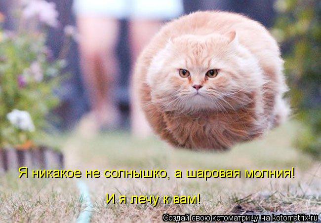 Я никакое не солнышко, а шаровая молния! И я лечу к вам!... Котоматрица: Я никакое не солнышко, а шаровая молния! И я лечу к вам!