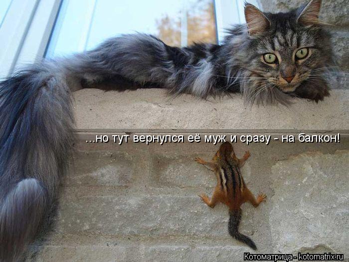 ...но тут вернулся её муж и сразу - на балкон!... Котоматрица: ...но тут вернулся её муж и сразу - на балкон!
