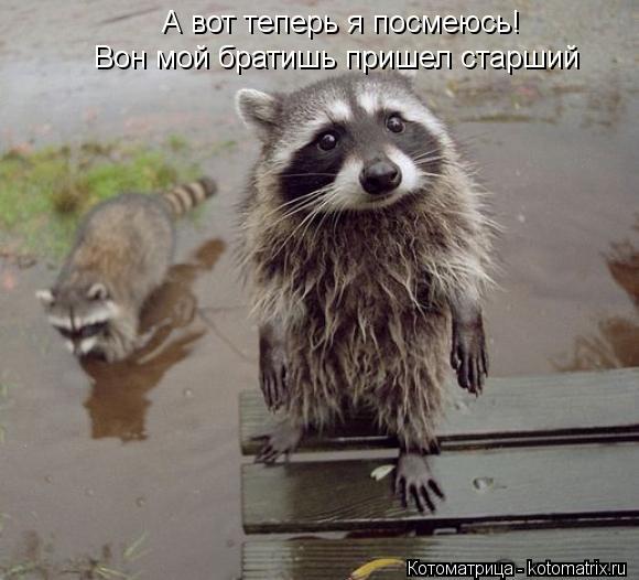 А вот теперь я посмеюсь! А вот теперь я посмеюсь! Вон мой братишь пришел старший... Котоматрица: А вот теперь я посмеюсь! А вот теперь я посмеюсь! Вон мой братишь пришел старший