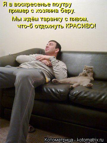 Котоматрица: Я в воскресенье поутру   пример с хозяина беру.  Мы ждём таранку с пивом,  что-б отдохнуть КРАСИВО!