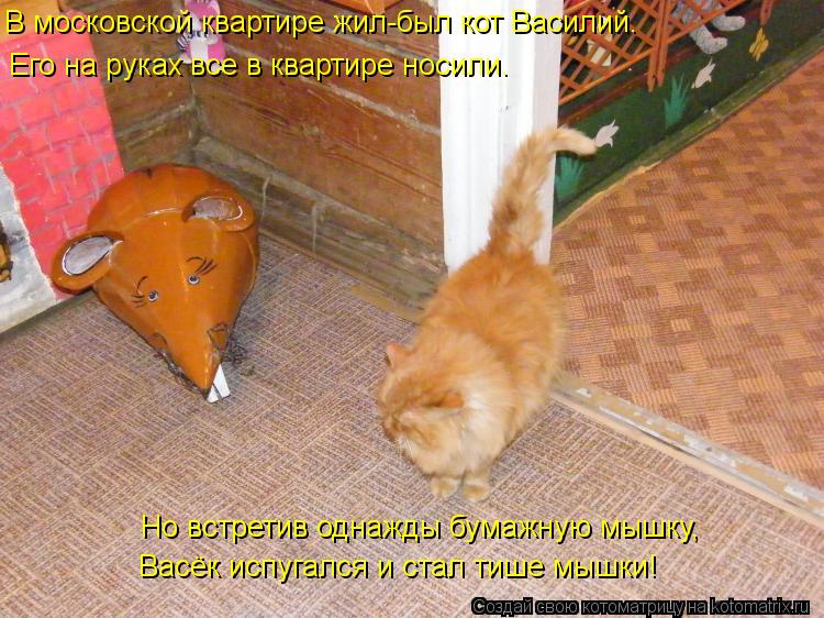В московской квартире жил-был кот Василий. Его на руках все в квартире носили. Но встретив однажды бу... Котоматрица: В московской квартире жил-был кот Василий. Его на руках все в квартире носили. Но встретив однажды бумажную мышку, Васёк испугался и стал ти