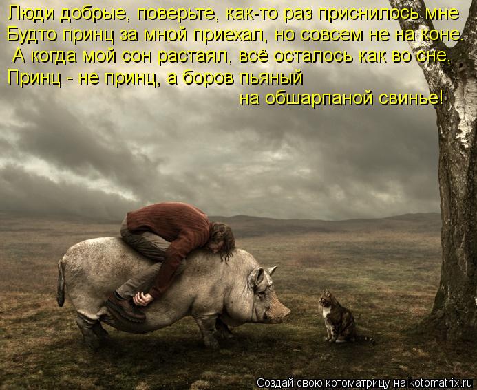 Котоматрица: Люди добрые, поверьте, как-то раз приснилось мне  Будто принц за мной приехал, но совсем не на коне.     А когда мой сон растаял, всё осталось ка