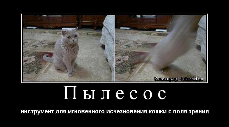 Пылесос инструмент для мгновенного исчезновения кошки с поля зрения... Котоматрица: Пылесос инструмент для мгновенного исчезновения кошки с поля зрения