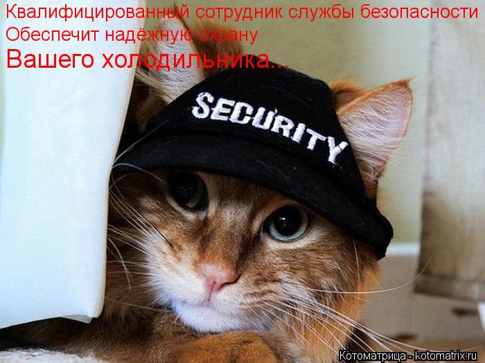 Квалифицированный сотрудник службы безопасности Обеспечит надёжную охрану Вашего холодильника...... Котоматрица: Квалифицированный сотрудник службы безопасности Обеспечит надёжную охрану Вашего холодильника...