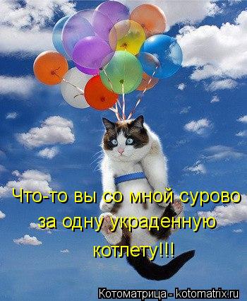 Что-то вы со мной сурово за одну украденную котлету!!!... Котоматрица: Что-то вы со мной сурово за одну украденную котлету!!!