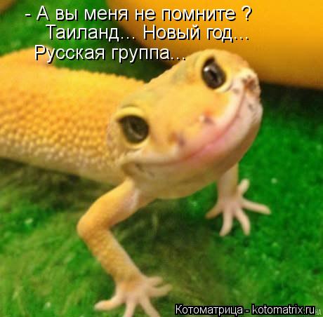 - А вы меня не помните ? Таиланд... Новый год... Русская группа...... Котоматрица: - А вы меня не помните ? Таиланд... Новый год... Русская группа...