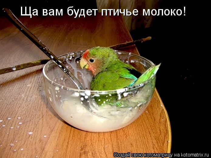 Ща вам будет птичье молоко!... Котоматрица: Ща вам будет птичье молоко!