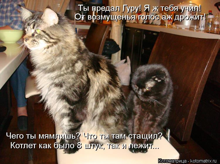 Ты предал Гуру! Я ж тебя учил! От возмущенья голос аж дрожит! Чего ты мямлишь? Что ты там стащил? Кот... Котоматрица: Ты предал Гуру! Я ж тебя учил! От возмущенья голос аж дрожит! Чего ты мямлишь? Что ты там стащил? Котлет как было 8 штук, так и лежит...