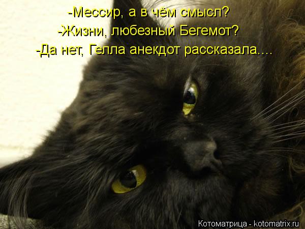 -Мессир, а в чём смысл? -Жизни, любезный Бегемот? -Да нет, Гелла анекдот рассказала....... Котоматрица: -Мессир, а в чём смысл? -Жизни, любезный Бегемот? -Да нет, Гелла анекдот рассказала....