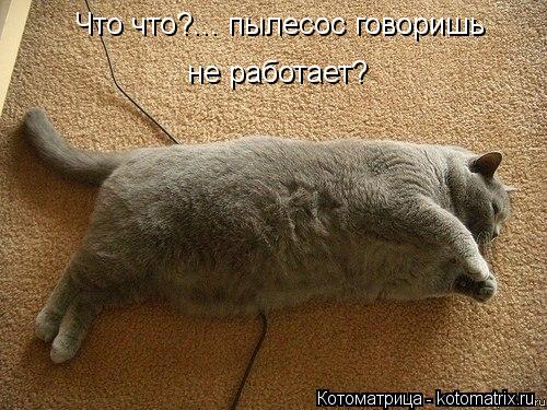 Что что?... пылесос говоришь не работает?... Котоматрица: Что что?... пылесос говоришь не работает?