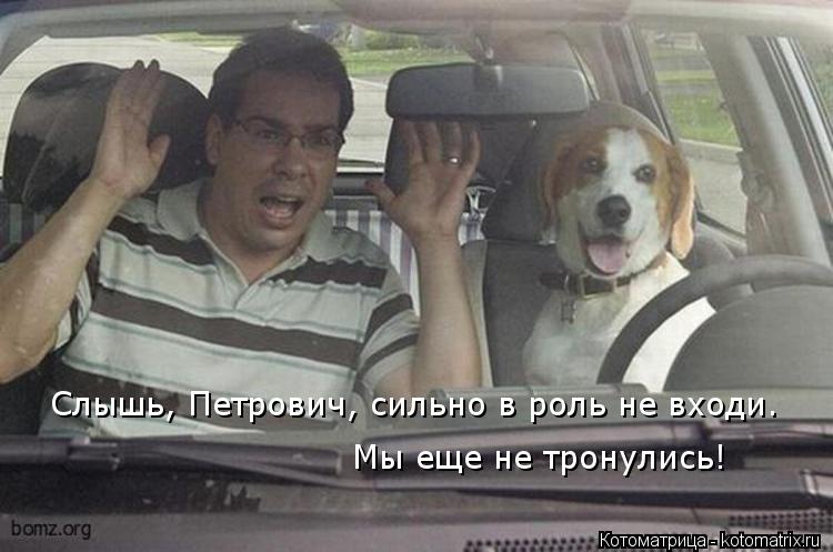 Слышь, Петрович, сильно в роль не входи. Мы еще не тронулись!... Котоматрица: Слышь, Петрович, сильно в роль не входи. Мы еще не тронулись!
