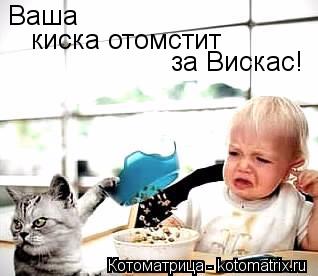 Ваша киска отомстит за Вискас!... Котоматрица: Ваша киска отомстит за Вискас!