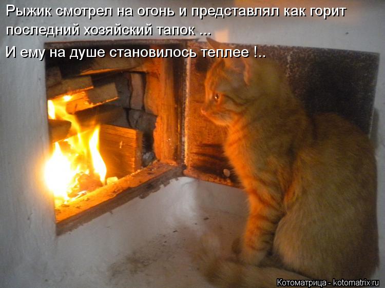 Рыжик смотрел на огонь и представлял как горит последний хозяйский тапок ... И ему на душе становило... Котоматрица: Рыжик смотрел на огонь и представлял как горит последний хозяйский тапок ... И ему на душе становилось теплее !..