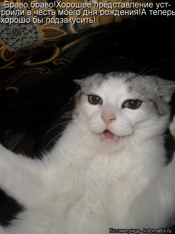 -Браво,браво!Хорошее представление уст- роили в честь моего дня рождения!А теперь хорошо бы подзакуси... Котоматрица: -Браво,браво!Хорошее представление уст- роили в честь моего дня рождения!А теперь хорошо бы подзакусить!