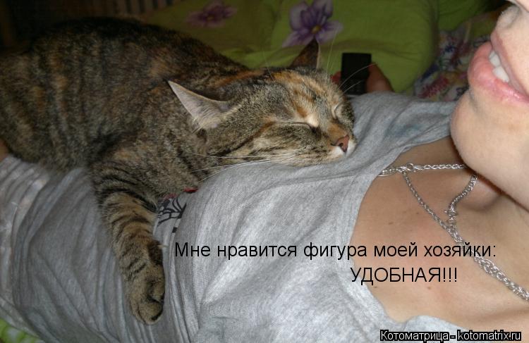 Мне нравится фигура моей хозяйки: УДОБНАЯ!!!... Котоматрица: Мне нравится фигура моей хозяйки: УДОБНАЯ!!!