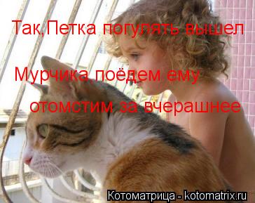 Так,Петка погулять вышел Мурчика,поёдем ему отомстим за вчерашнее... Котоматрица: Так,Петка погулять вышел Мурчика,поёдем ему отомстим за вчерашнее