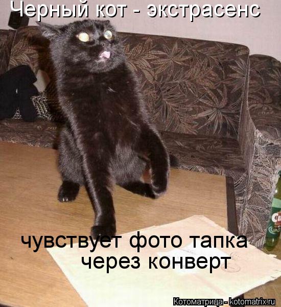 Котоматрица: Черный кот - экстрасенс чувствует фото тапка  через конверт
