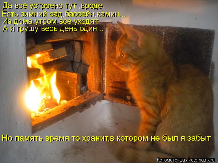 Да всё устроено тут ,вроде: Есть зимний сад,бассейн,камин... Из дома утром все уходят, А я грущу весь... Котоматрица: Да всё устроено тут ,вроде: Есть зимний сад,бассейн,камин... Из дома утром все уходят, А я грущу весь день один... Но память время то хранит,в ко