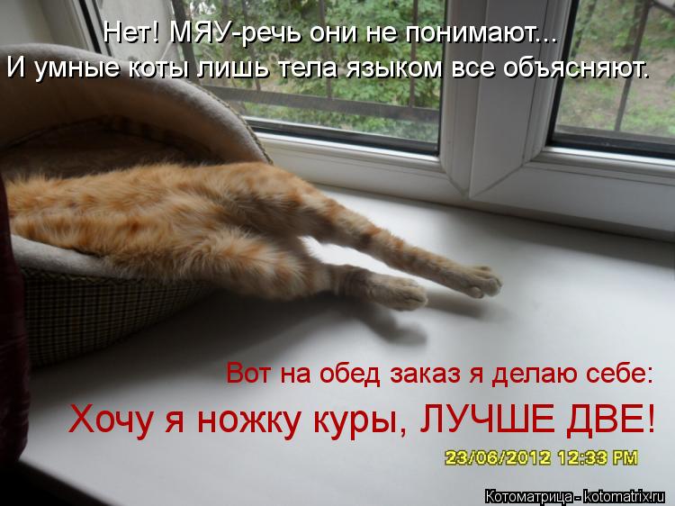 И умные коты лишь тела языком все объясняют. Нет! МЯУ-речь они не понимают... Хочу я ножку куры, ЛУЧШ... Котоматрица: И умные коты лишь тела языком все объясняют. Нет! МЯУ-речь они не понимают... Хочу я ножку куры, ЛУЧШЕ ДВЕ! Вот на обед заказ я делаю себе: