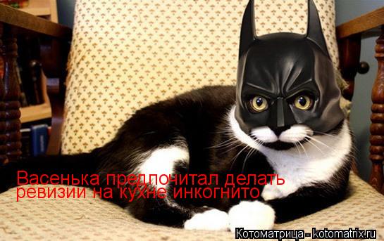 Васенька предпочитал делать ревизии на кухне инкогнито... Котоматрица: Васенька предпочитал делать ревизии на кухне инкогнито