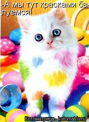 -А мы тут красками ба- луемся!... Котоматрица: -А мы тут красками ба- луемся!