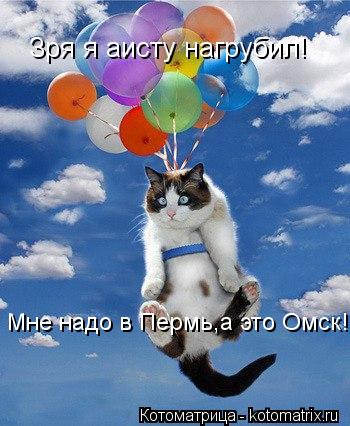 Зря я аисту нагрубил! Мне надо в Пермь,а это Омск!... Котоматрица: Зря я аисту нагрубил! Мне надо в Пермь,а это Омск!