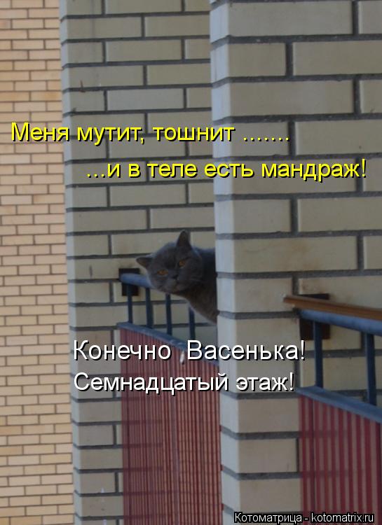 Семнадцатый этаж! Меня мутит, тошнит ....... ...и в теле есть мандраж! Конечно Васенька!... Котоматрица: Семнадцатый этаж! Меня мутит, тошнит ....... ...и в теле есть мандраж! Конечно Васенька!