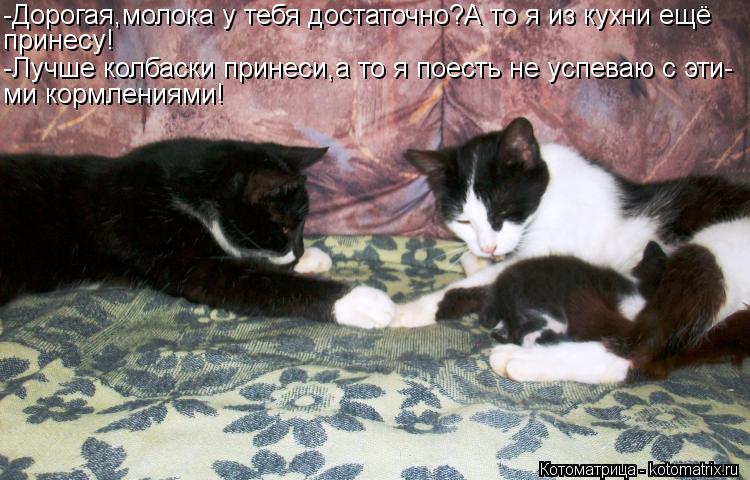 -Дорогая,молока у тебя достаточно?А то я из кухни ещё принесу! -Лучше колбаски принеси,а то я поесть ... Котоматрица: -Дорогая,молока у тебя достаточно?А то я из кухни ещё принесу! -Лучше колбаски принеси,а то я поесть не успеваю с эти- ми кормлениями!