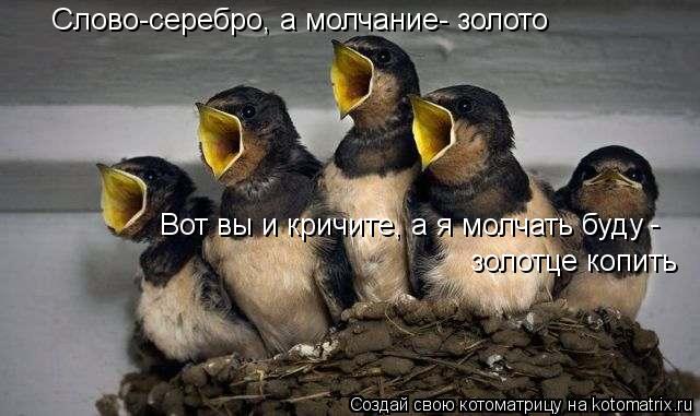 Слово-серебро, а молчание- золото Вот вы и кричите, а я молчать буду - золотце копить... Котоматрица: Слово-серебро, а молчание- золото Вот вы и кричите, а я молчать буду - золотце копить