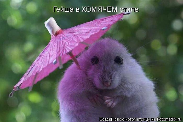 Гейша в ХОМЯЧЕМ стиле... Котоматрица: Гейша в ХОМЯЧЕМ стиле